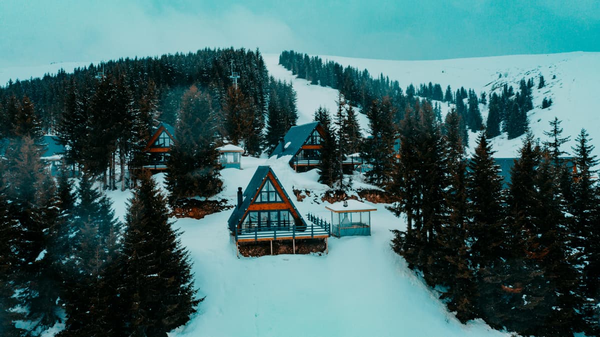 Georgia 8 Days Value